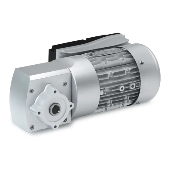 Electric Gear Motor