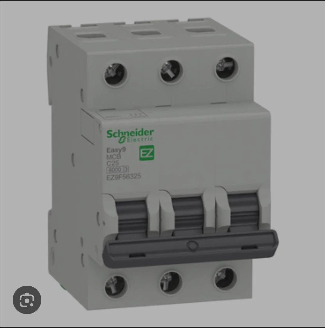 Schneider Electric Miniature Circuit Breaker