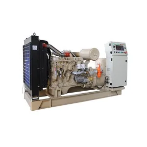 Diesel Generator Set