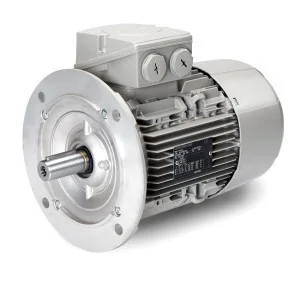 Three-Phase Electric Motor